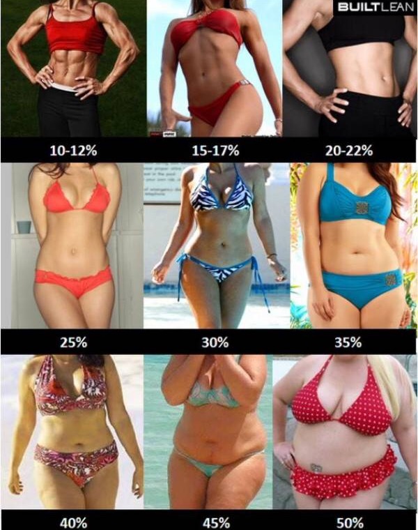 写真で比べて見る 女性の理想の体脂肪率は 男性目線と女性目線で理想が異なる こまちダイエットログ